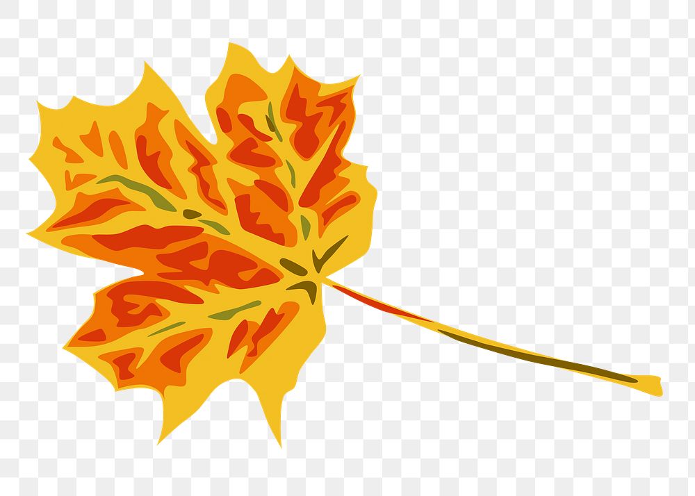 Maple leaf png illustration, transparent background. Free public domain CC0 image.