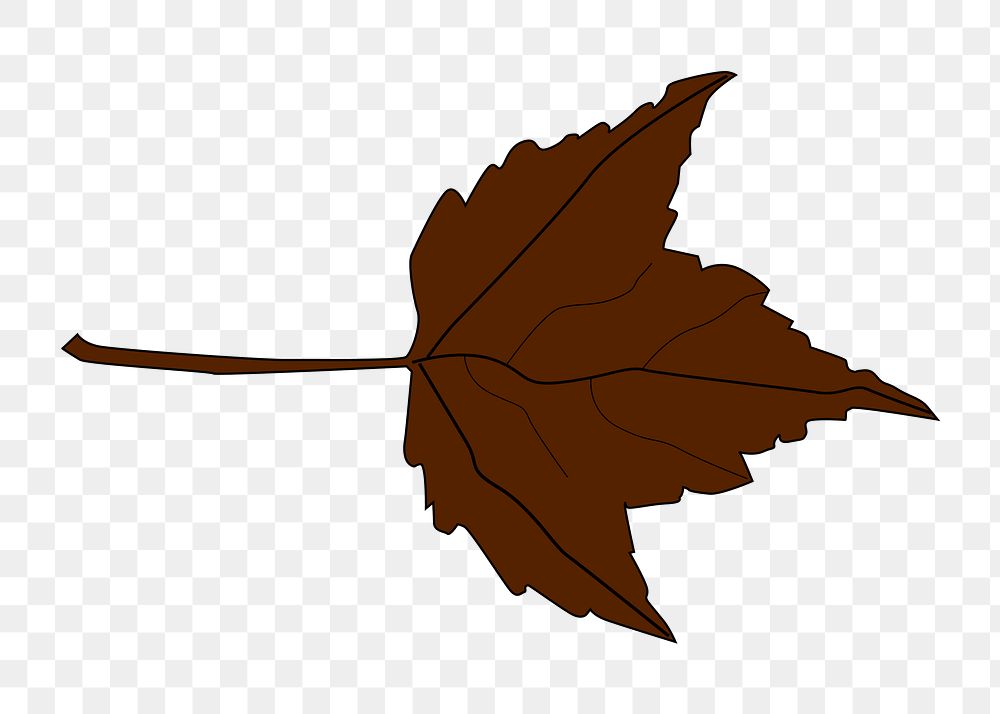 Autumn maple leaf png illustration, transparent background. Free public domain CC0 image.