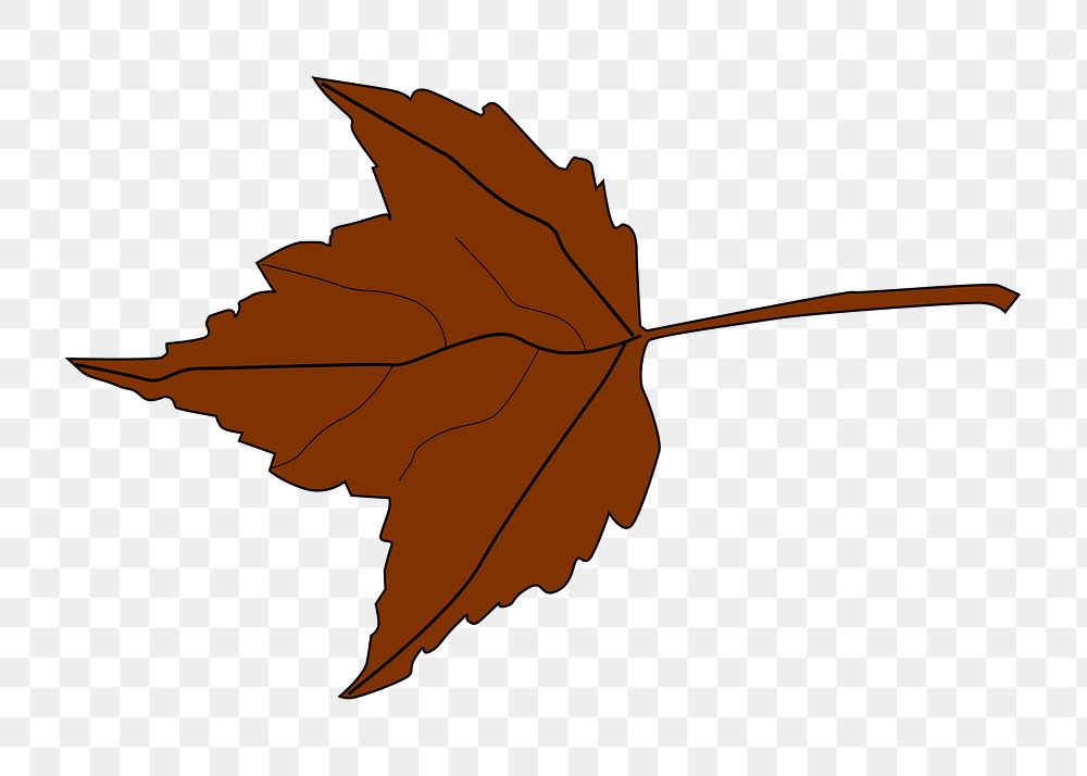 Autumn maple leaf png illustration, transparent background. Free public domain CC0 image.