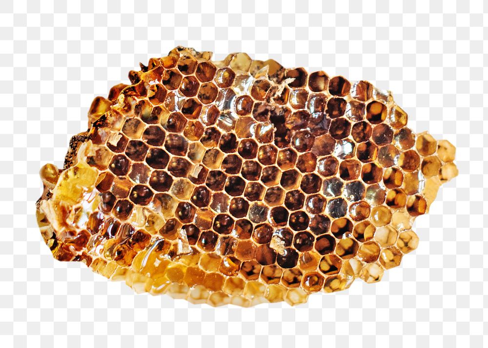 Honeycomb png sweet dessert, transparent background