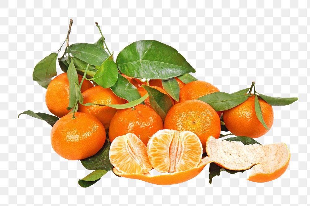 Small orange png, transparent background