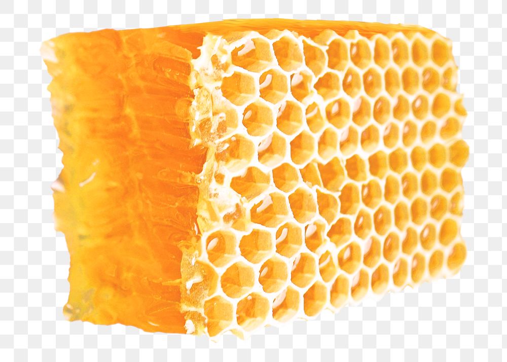 PNG honeycomb, collage element, transparent background