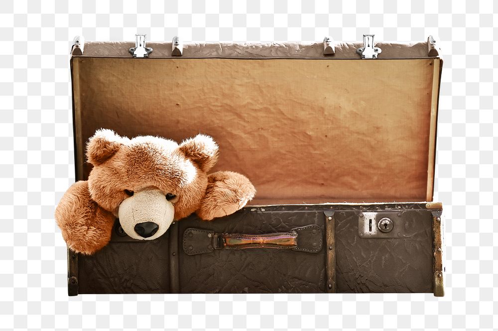 Png bear doll in suitcase, isolated collage element, transparent background
