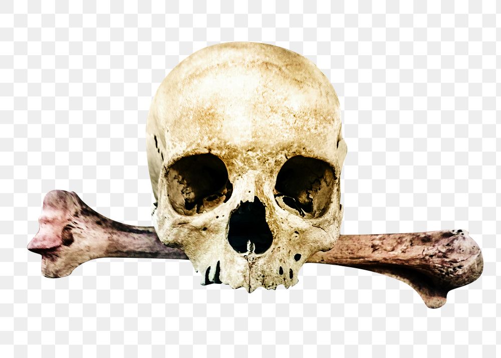 Png skull crossbones, isolated object, transparent background