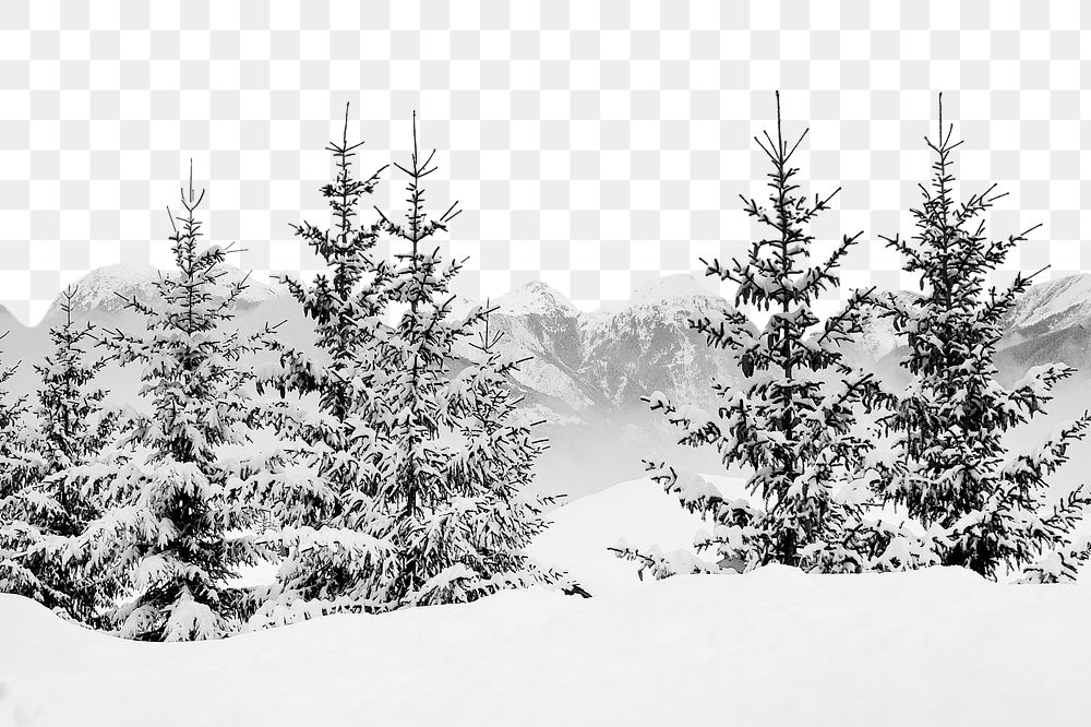 PNG Winter snowy forest  border, transparent background