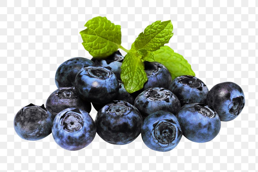 Blueberry pile png, transparent background