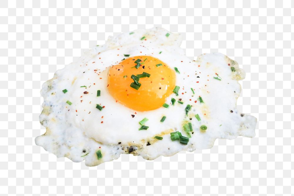 Delicious fried egg on transparent background PNG - Similar PNG