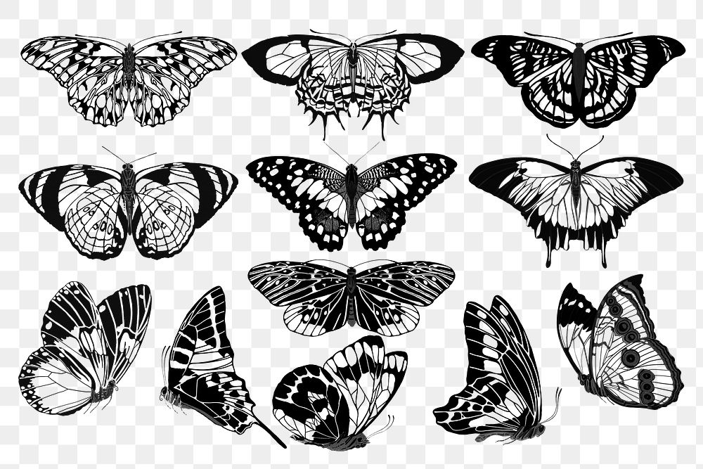 Vintage butterfly png sticker, black and white insect illustration set, transparent background. Remixed from the artwork of…