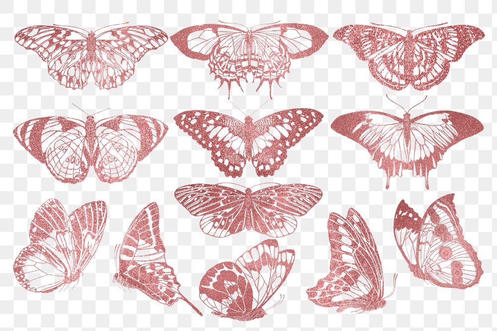 Pink glittery butterfly png sticker, aesthetic insect set, transparent background. Remixed from the artwork of E.A. Séguy.