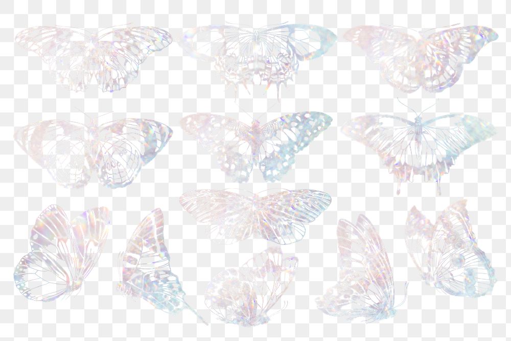 Aesthetic holography butterfly png sticker, aesthetic insect set, transparent background. Remixed from the artwork of E.A.…