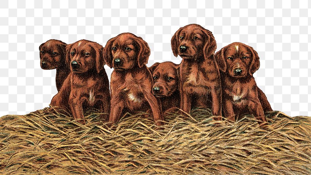 Vintage puppies png dog, transparent background. Remixed by rawpixel. 
