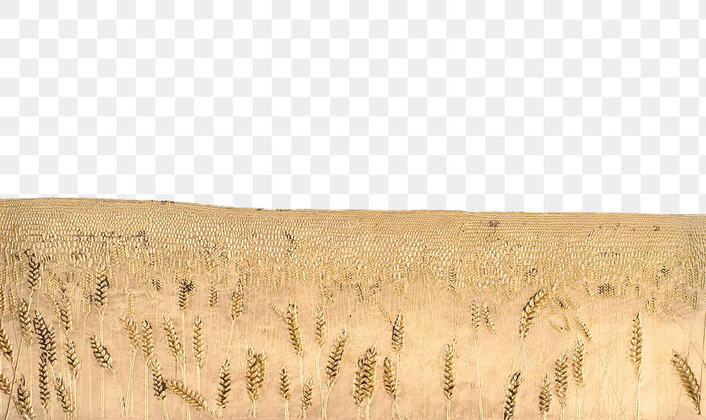 Wheat field border png agricultural, transparent background. Remixed by rawpixel. 