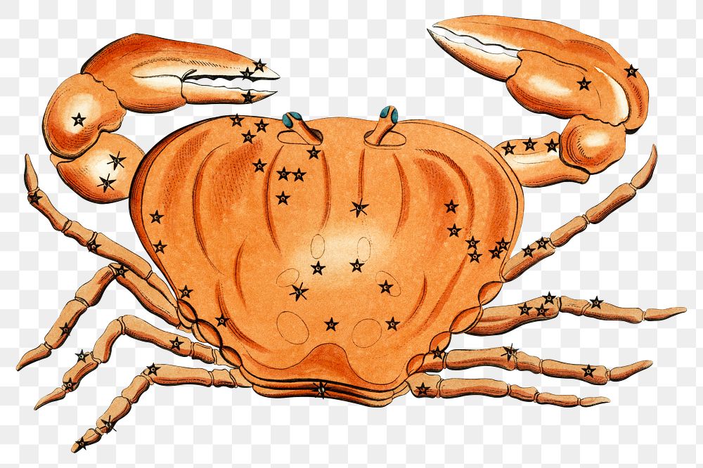 Vintage cancer crab png astrology, transparent background. Remixed by rawpixel. 