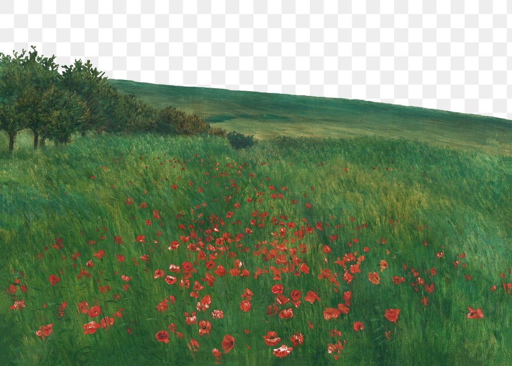 Flower field png, transparent background. Remixed by rawpixel. 