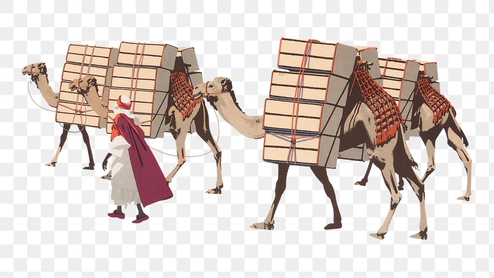 Vintage camel transport png, transparent background. Remixed by rawpixel. 