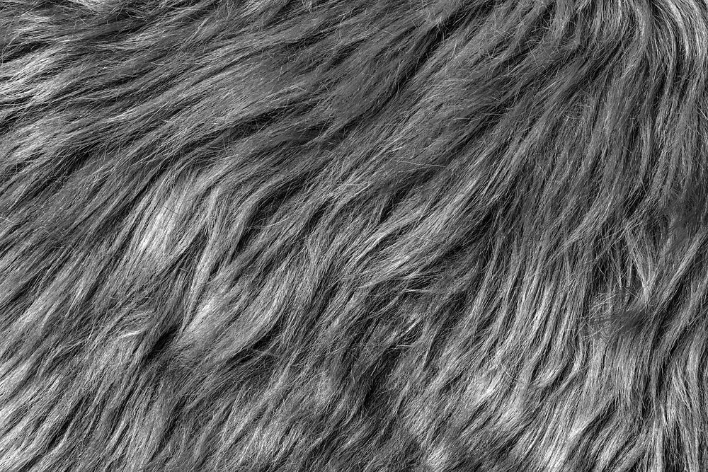 Transparent fur png texture collage element