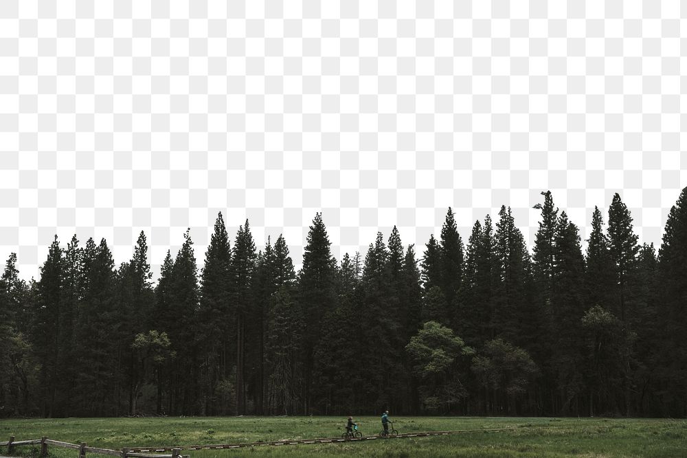 PNG Forest border collage element, transparent background