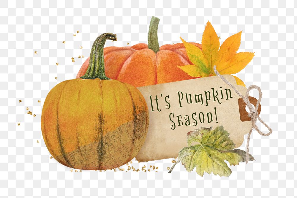 It's pumpkin season png word sticker, Autumn pumpkin collage, transparent background