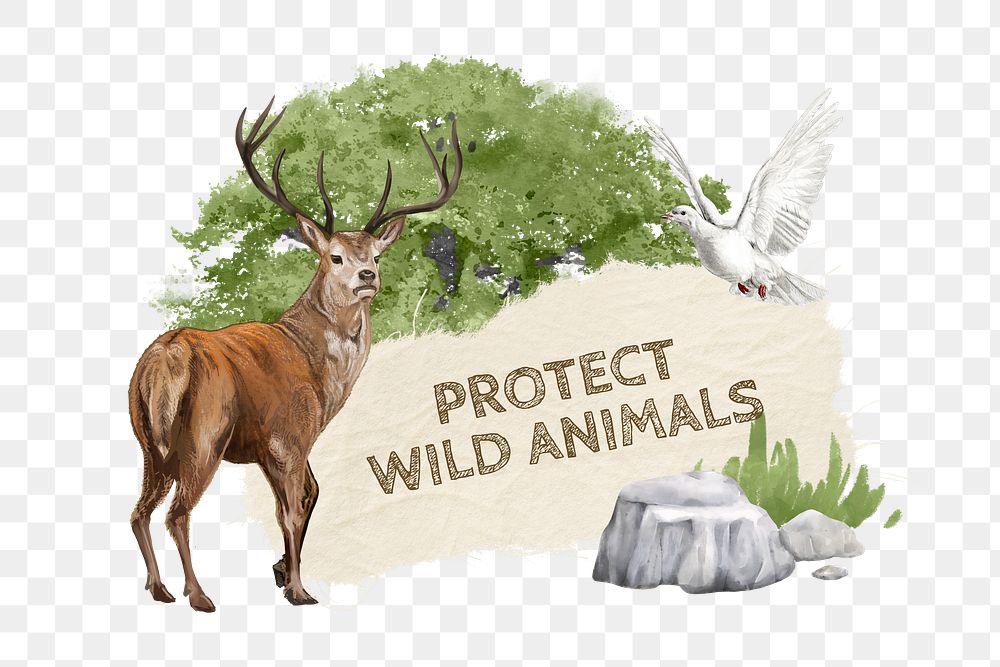 Protect wild animals png sticker, ripped paper collage, transparent background