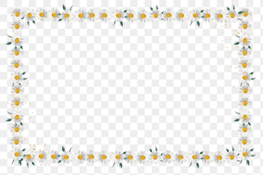 White flower frame png daisy sticker, transparent background