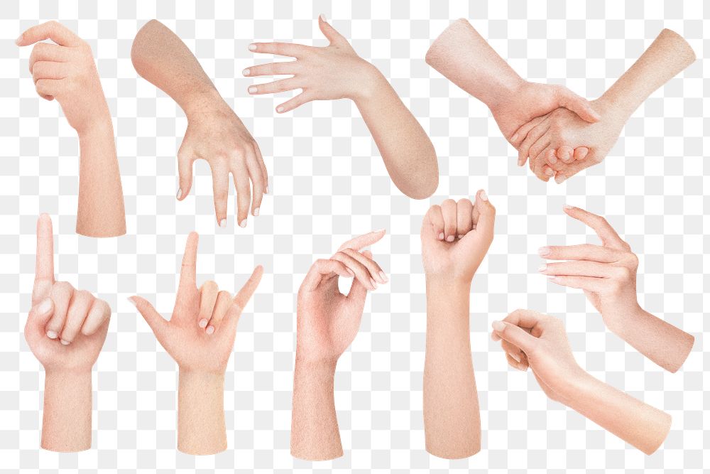 Realistic hand gestures png sticker set, transparent background