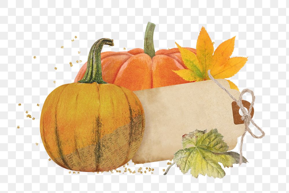 Aesthetic Autumn pumpkin png sticker, paper collage, transparent background