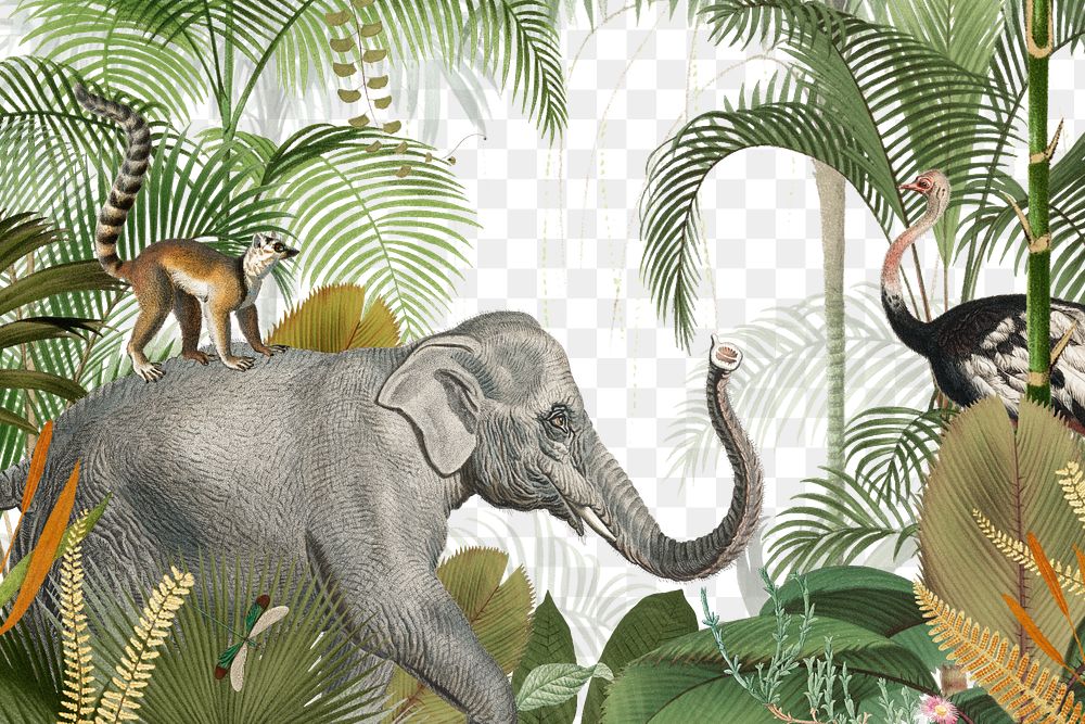 Wild elephant png jungle, transparent background