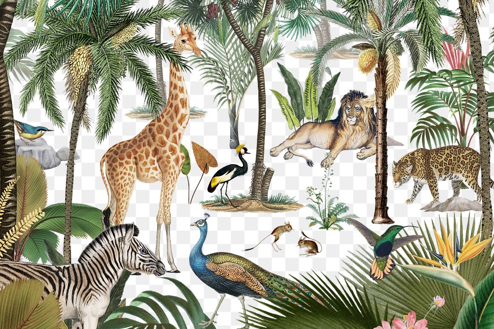 Wild animals png pattern, transparent background