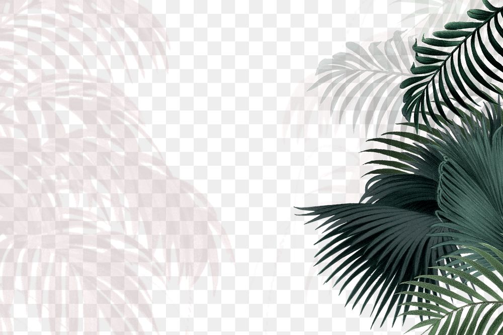 Aesthetic palm trees png border, transparent background