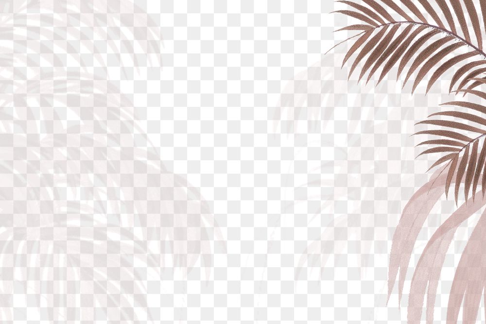 Aesthetic palm trees png border, transparent background