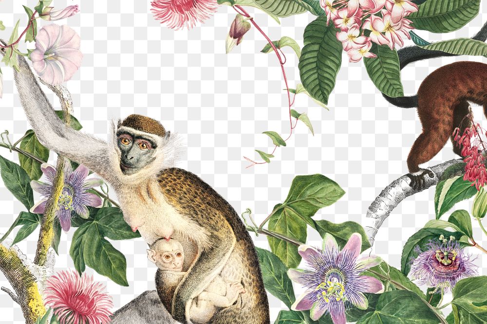 Floral monkey png jungle, transparent background