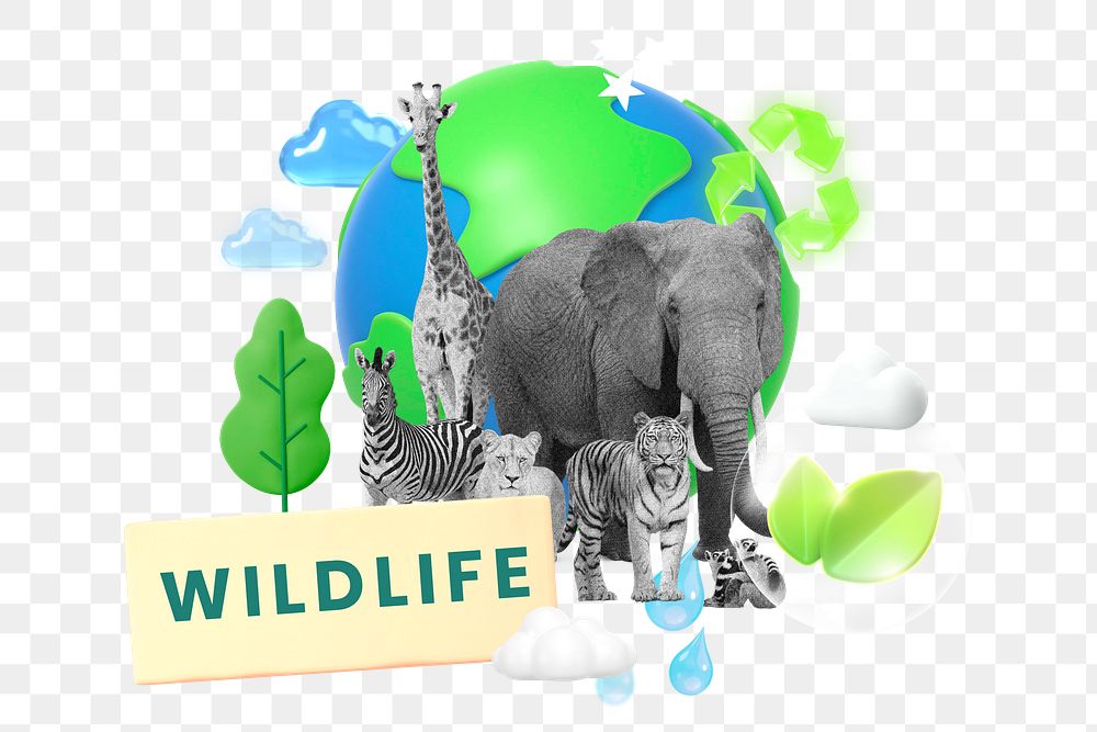 Wildlife, environment png word element, 3d remix, transparent background