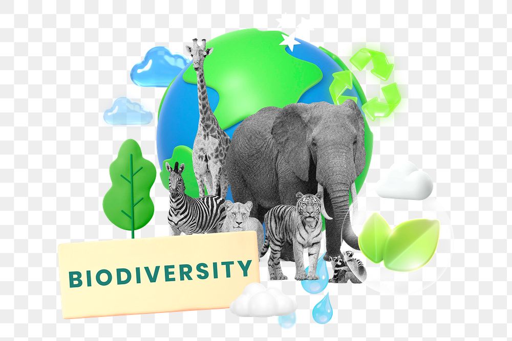 Biodiversity, environment png word element, 3d remix, transparent background
