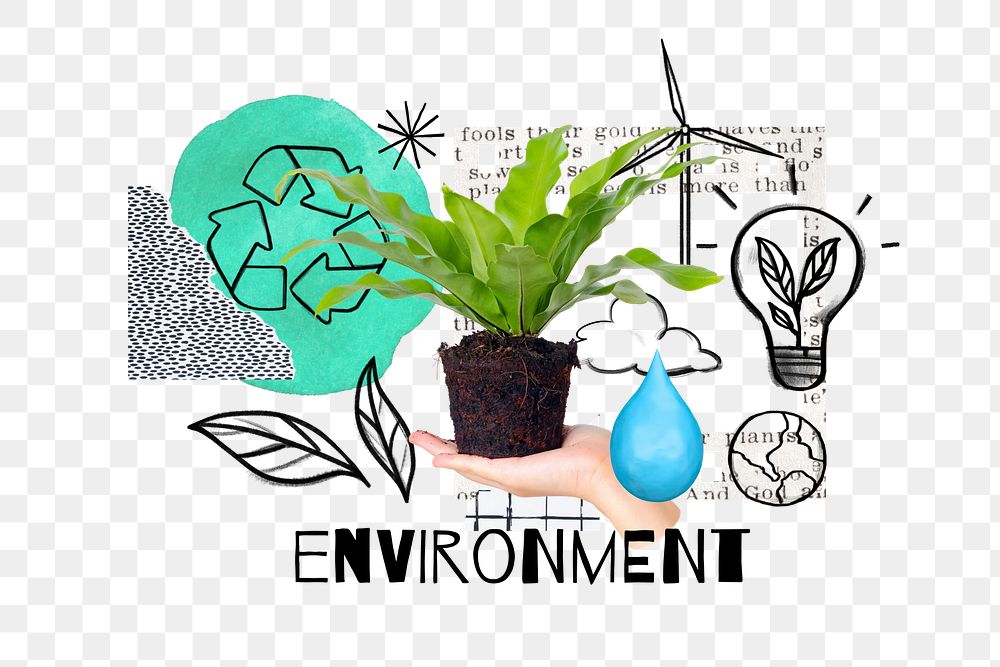 Hand presenting houseplant png, environment doodle remix, transparent background