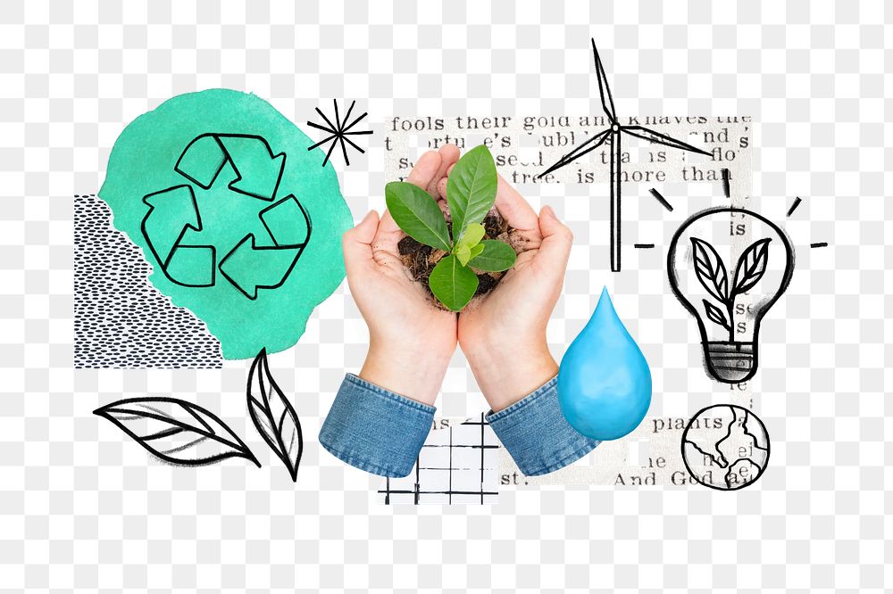 Hands cupping plant png, environment doodle remix, transparent background
