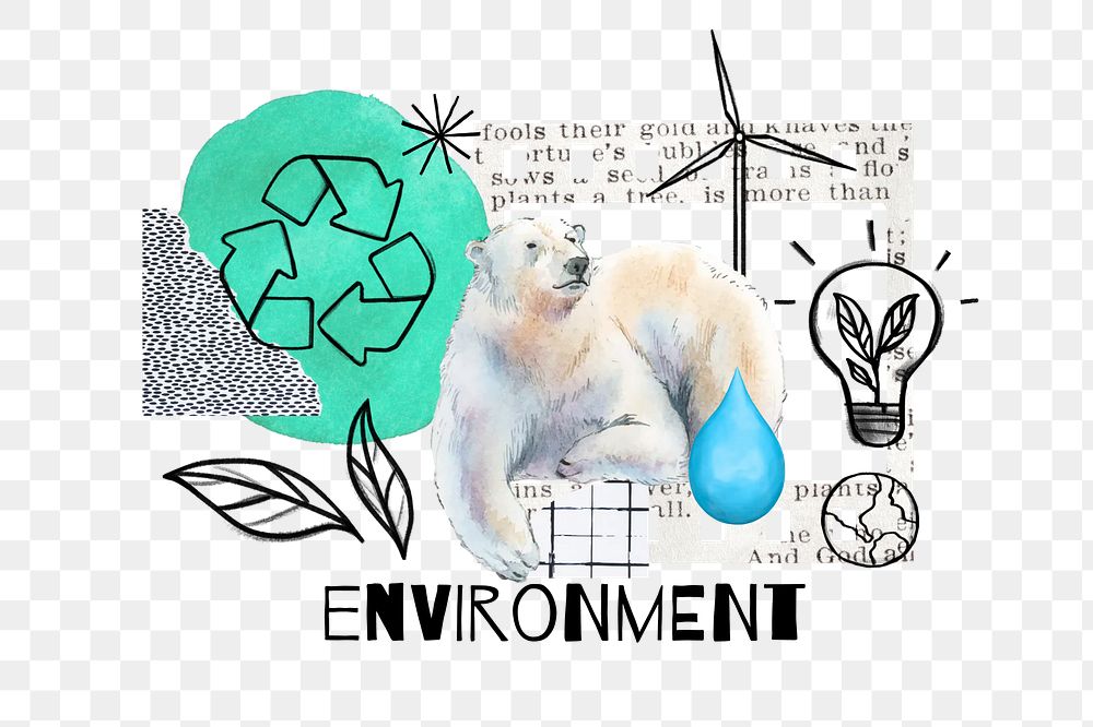 Polar bear png, global warming, environment doodle remix, transparent background