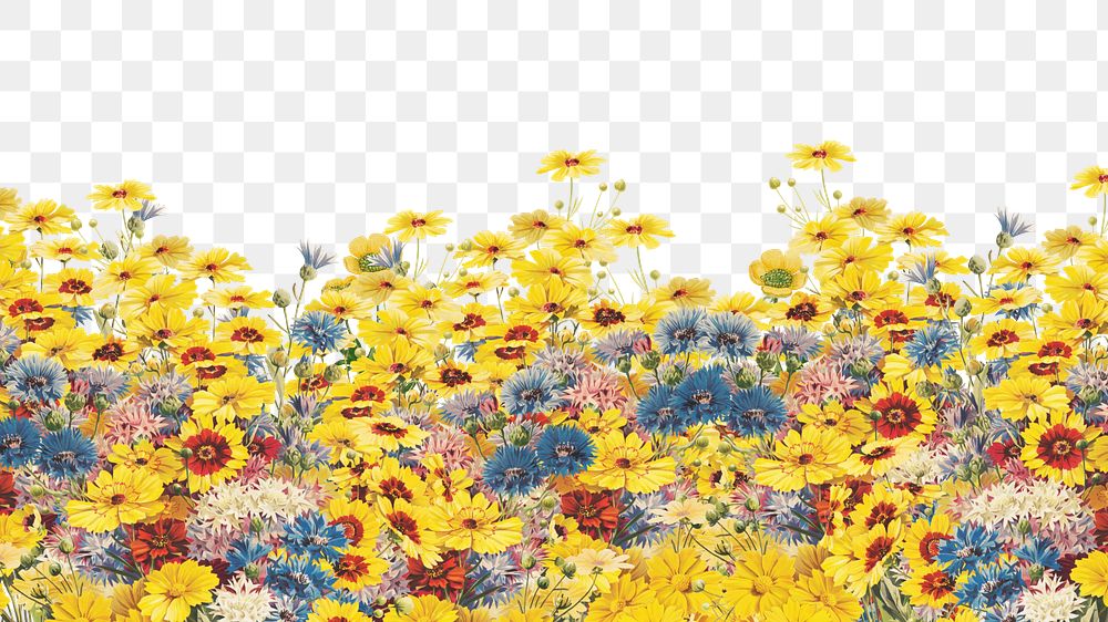 Spring flower field png border, transparent background