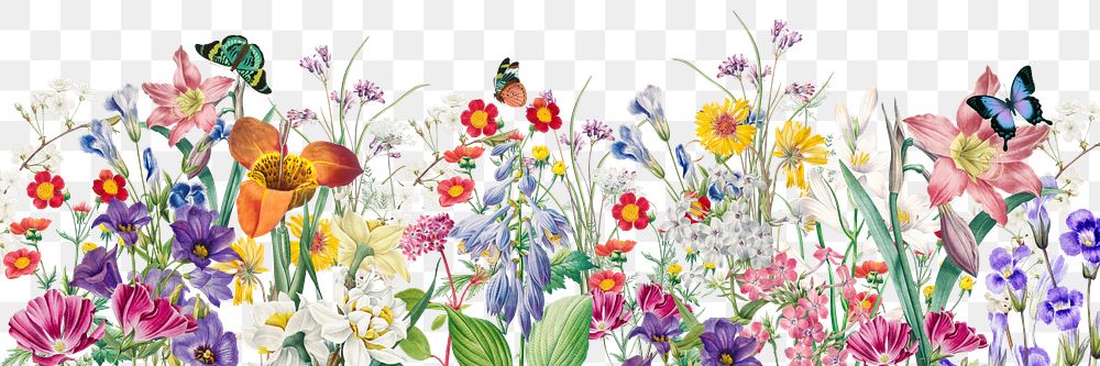 Colorful spring flowers png border, transparent background