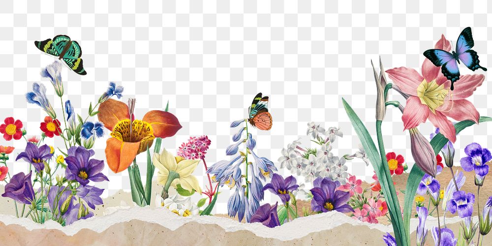 Colorful spring flowers png border, transparent background