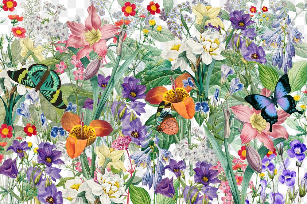 Aesthetic wildflower png botanical pattern, transparent background