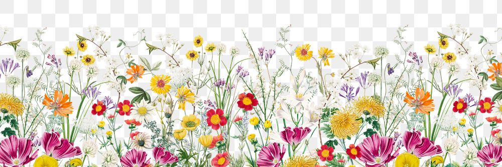 Aesthetic flower field png border, transparent background