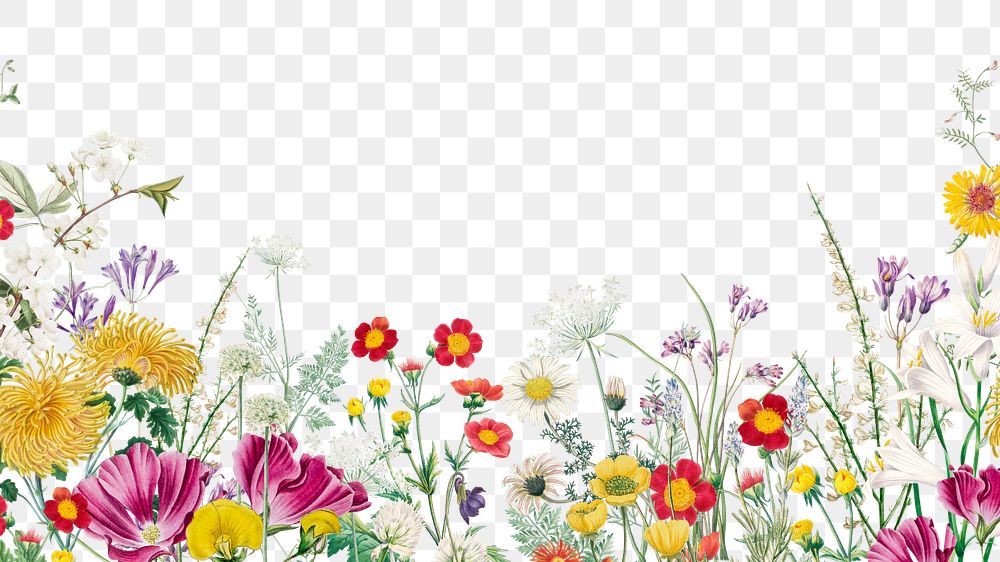 Aesthetic flower field png border, transparent background