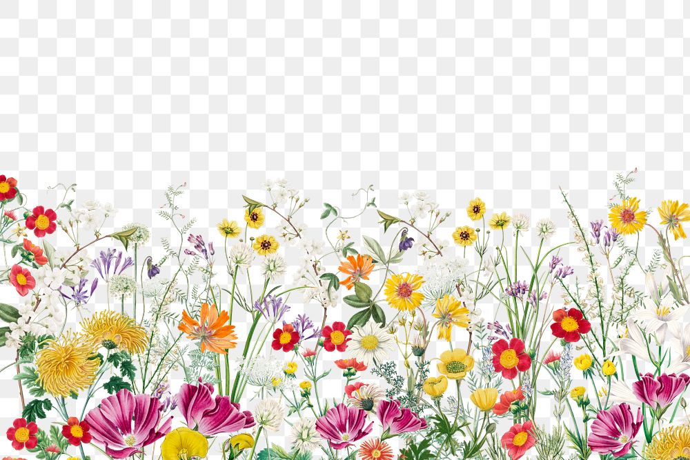 Spring flower border png aesthetic botanical, transparent background
