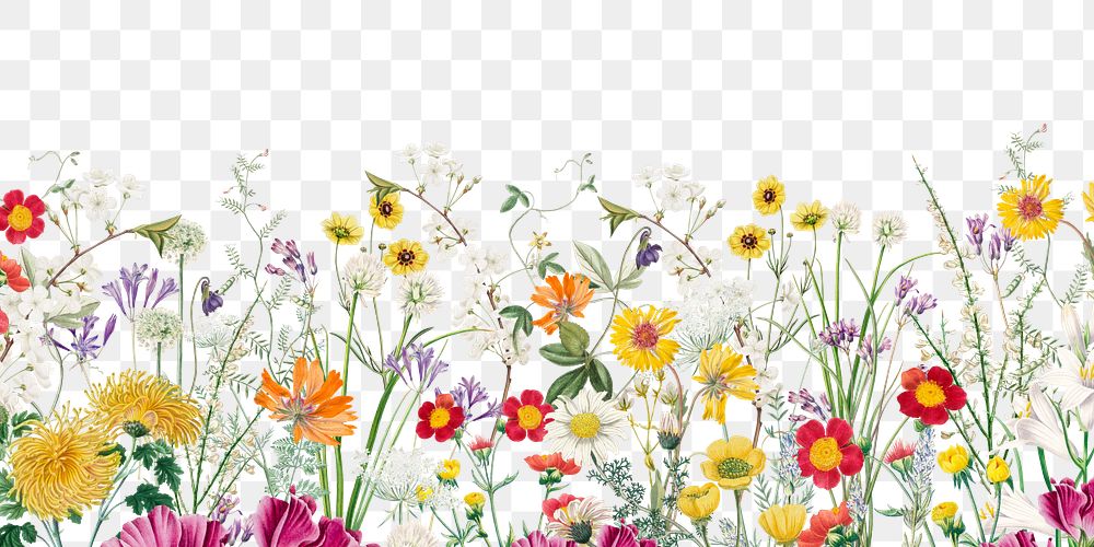 Aesthetic flower field png border, transparent background