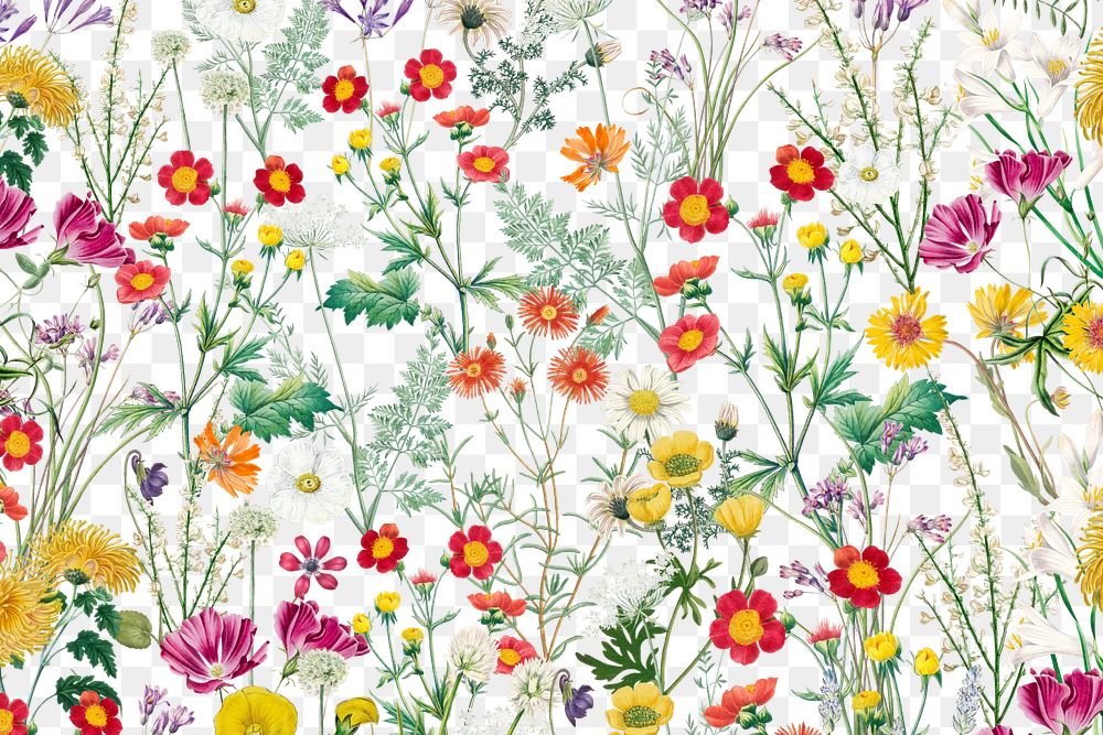 Spring flower png aesthetic botanical, transparent background