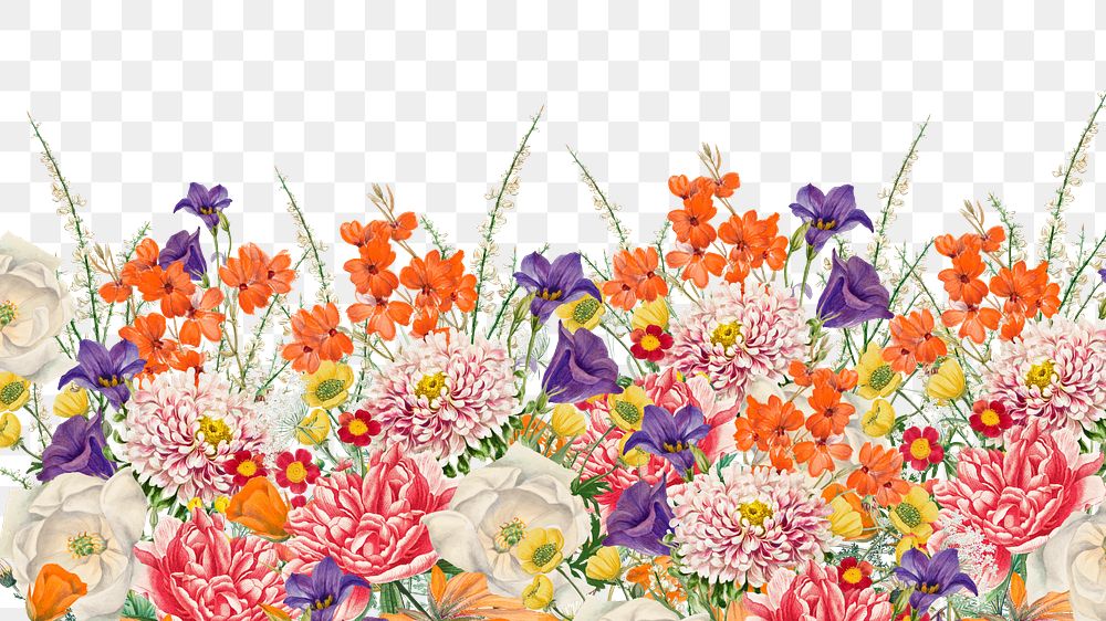 Colorful wedding flowers png border, transparent background