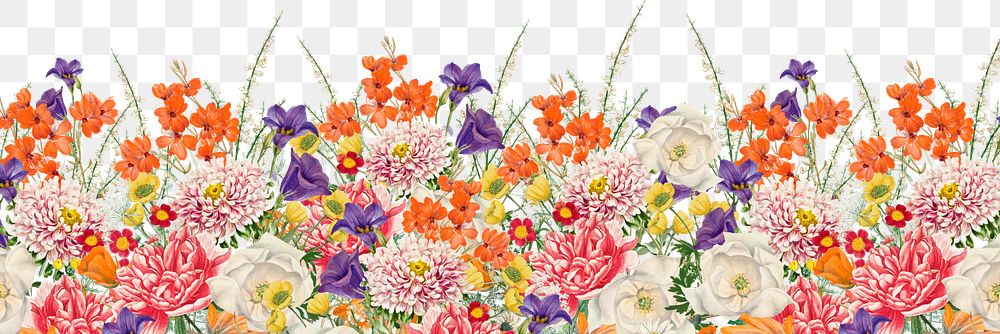 Colorful wedding flowers png border, transparent background