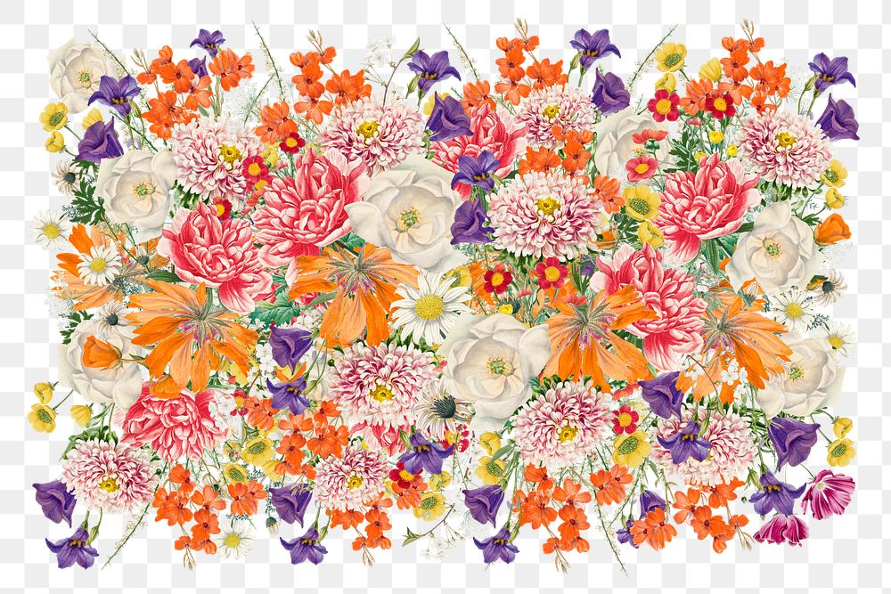 Colorful wedding png flower collage art on transparent background