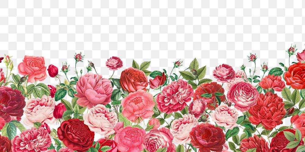 Pink Valentine's flowers png border, transparent background