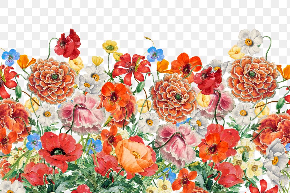 Colorful Summer flowers png border, transparent background